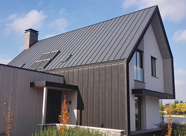 Wohnhaus mit NedZink NOIR, Niederlande