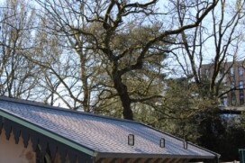 Playground shed – Moeflonstal Artis Zoo