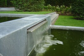Pond edge