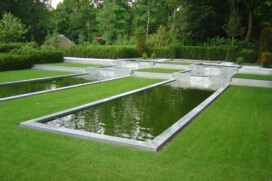 Pond edge