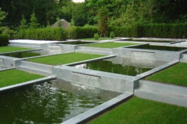 Pond edge
