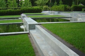 Pond edge