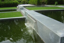 Pond edge